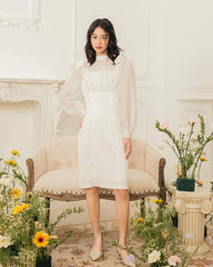 Organza knee-length dress with sheer puff sleeves and bow accents for feminine elegance