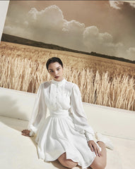 Mini silk dress with structured bodice, lantern sleeves, and flared pleated skirt