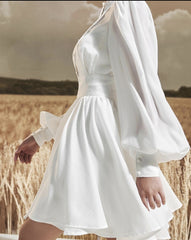 Mini silk dress with structured bodice, lantern sleeves, and flared pleated skirt