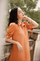 Silk Shirt Dress with Puff Sleeves and Waist Tie Detail