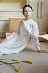 Elegant floor-length silk dress with sheer sleeves and high neck bow detail